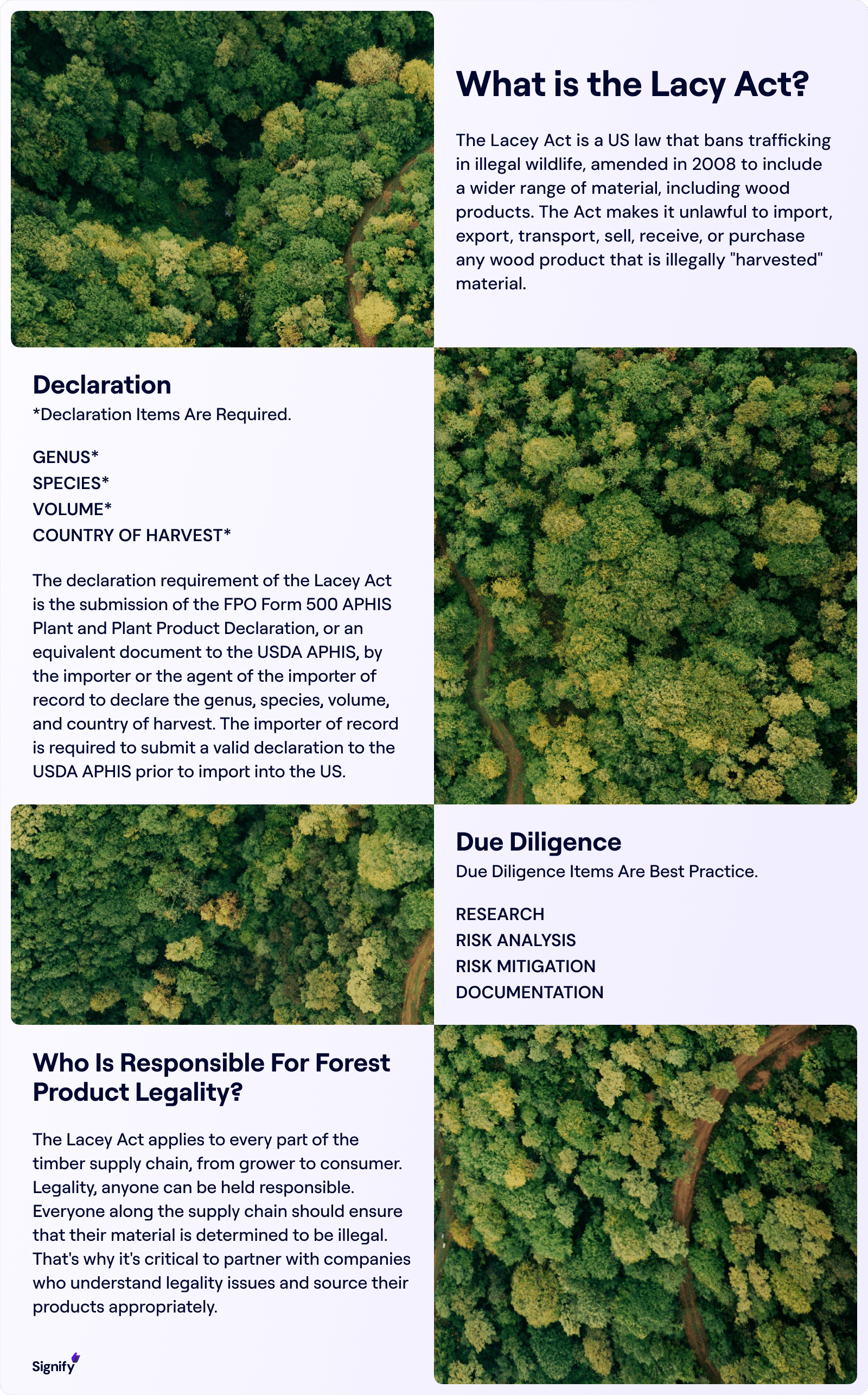 what-is-the-lacy-act